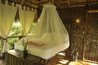 Dominican Tree House Village Room